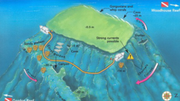 THOMAS REEF – TIRAN