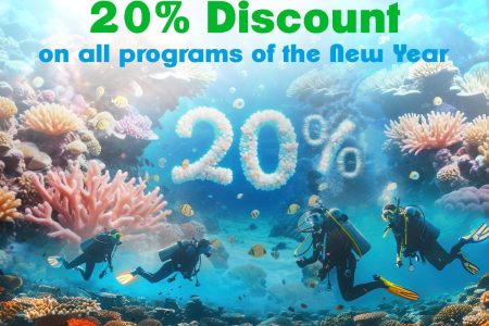 20% Off Wreck & Night Bundle