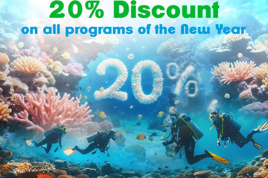 20% Off Wreck & Night Bundle
