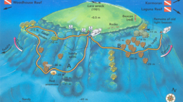 JACKSON REEF – TIRAN