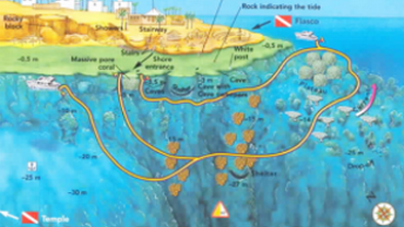 RAS UMM SID – LOCAL