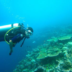 diving, maldives, sea-261585.jpg