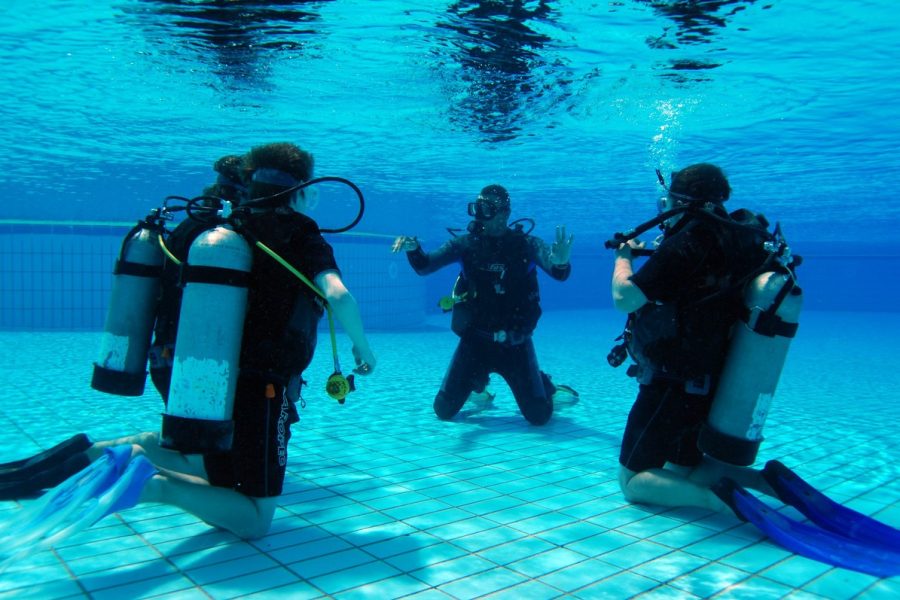 PADI Wreck Diver