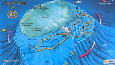 GORDON REEF – TIRAN