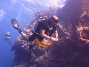 PADI IDC Instructor Course