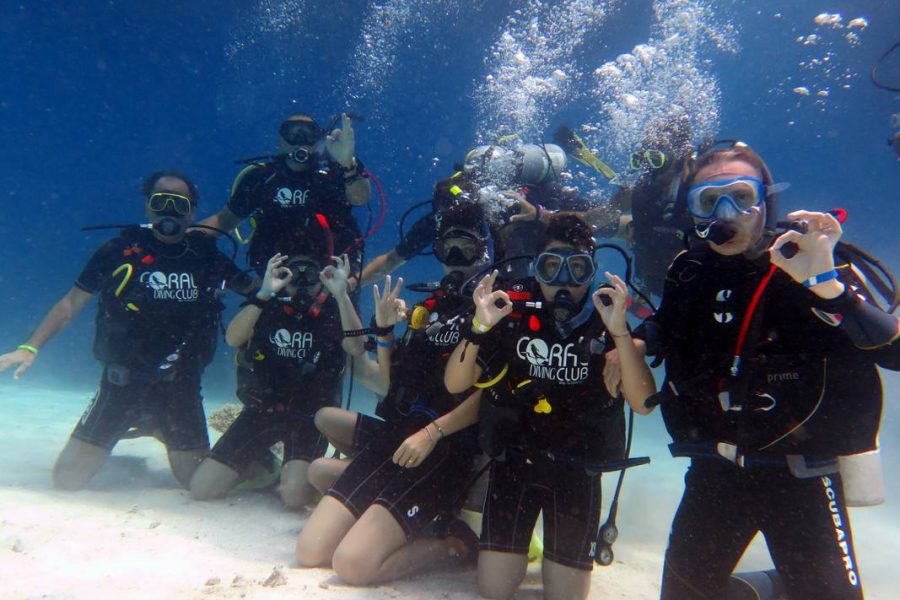 Padi Advanced Open Water Course in Sharm El Sheikh