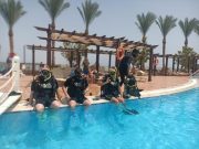 PADI Open Water Diver Course in Sharm El Sheikh