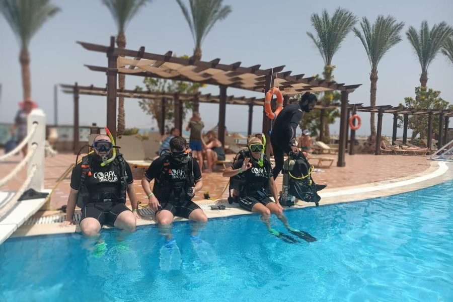 PADI Open Water Diver Course in Sharm El Sheikh