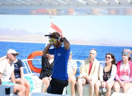 Tiran island