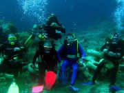 4 days dive package ( 8 dives)