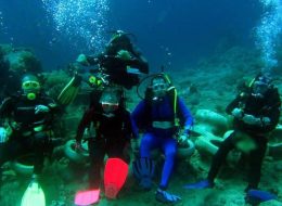 4 days dive package ( 8 dives)