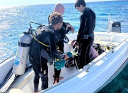 Speed boat diving