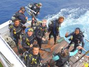 4-Day Diving Package in Sharm El Sheikh – 8 Dives
