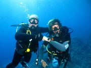 PADI Scuba Review at Ras Ghamila in Sharm El Sheikh