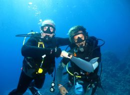 PADI Scuba Review at Ras Ghamila in Sharm El Sheikh
