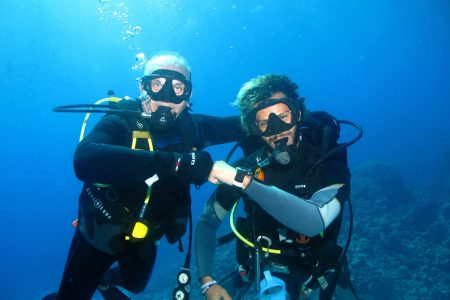 PADI Scuba Review at Ras Ghamila in Sharm El Sheikh
