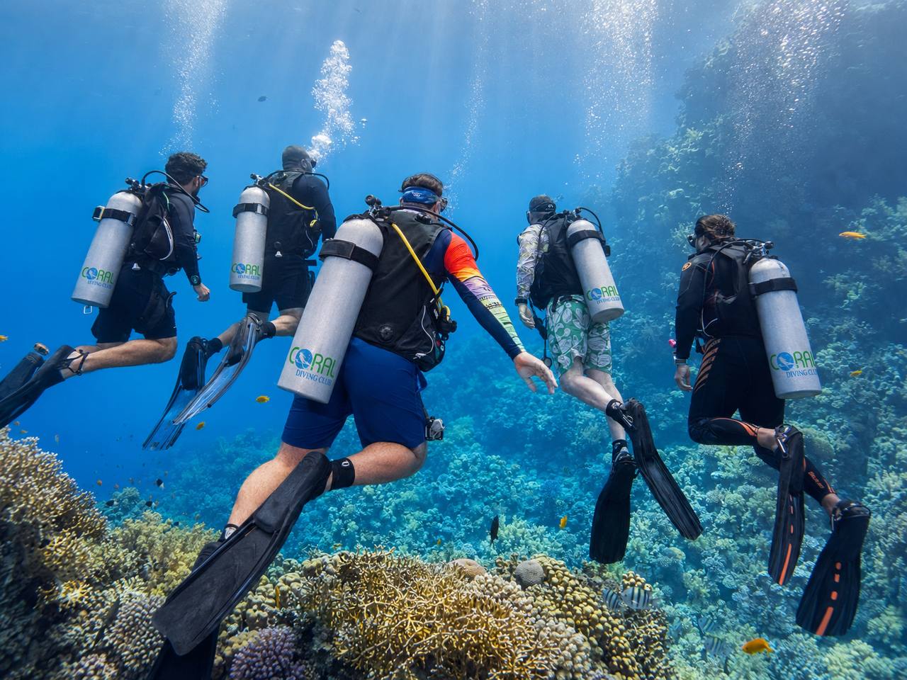 5 Days Dive Package in Sharm El Sheikh | 10 Dives