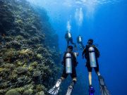 6 Days Dive Package in Sharm El Sheikh | 12 Dives