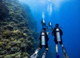6 Days Dive Package in Sharm El Sheikh | 12 Dives