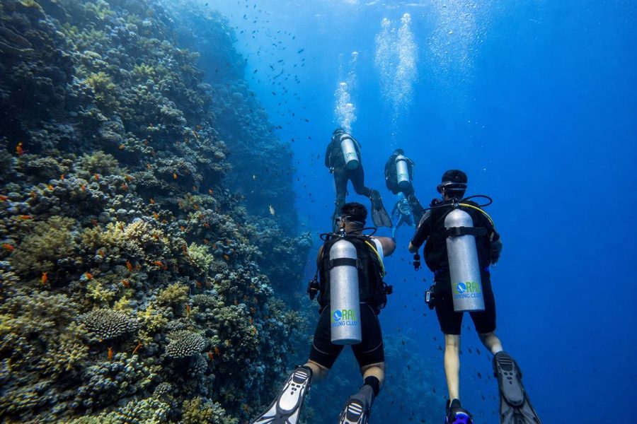 6 Days Dive Package in Sharm El Sheikh | 12 Dives
