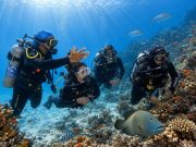 5 Days Dive Package in Sharm El Sheikh | 10 Dives