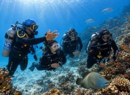 5 Days Dive Package in Sharm El Sheikh | 10 Dives