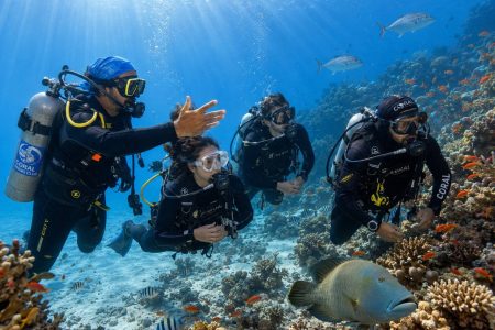 5 Days Dive Package in Sharm El Sheikh | 10 Dives