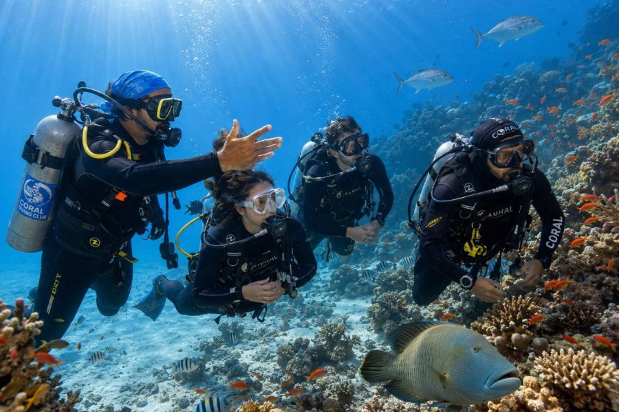 5 Days Dive Package in Sharm El Sheikh | 10 Dives