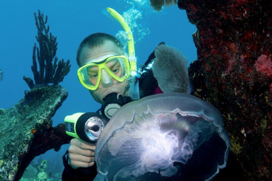 20% Off Beginner Course