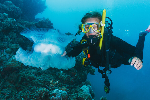 20% Off Beginner Course