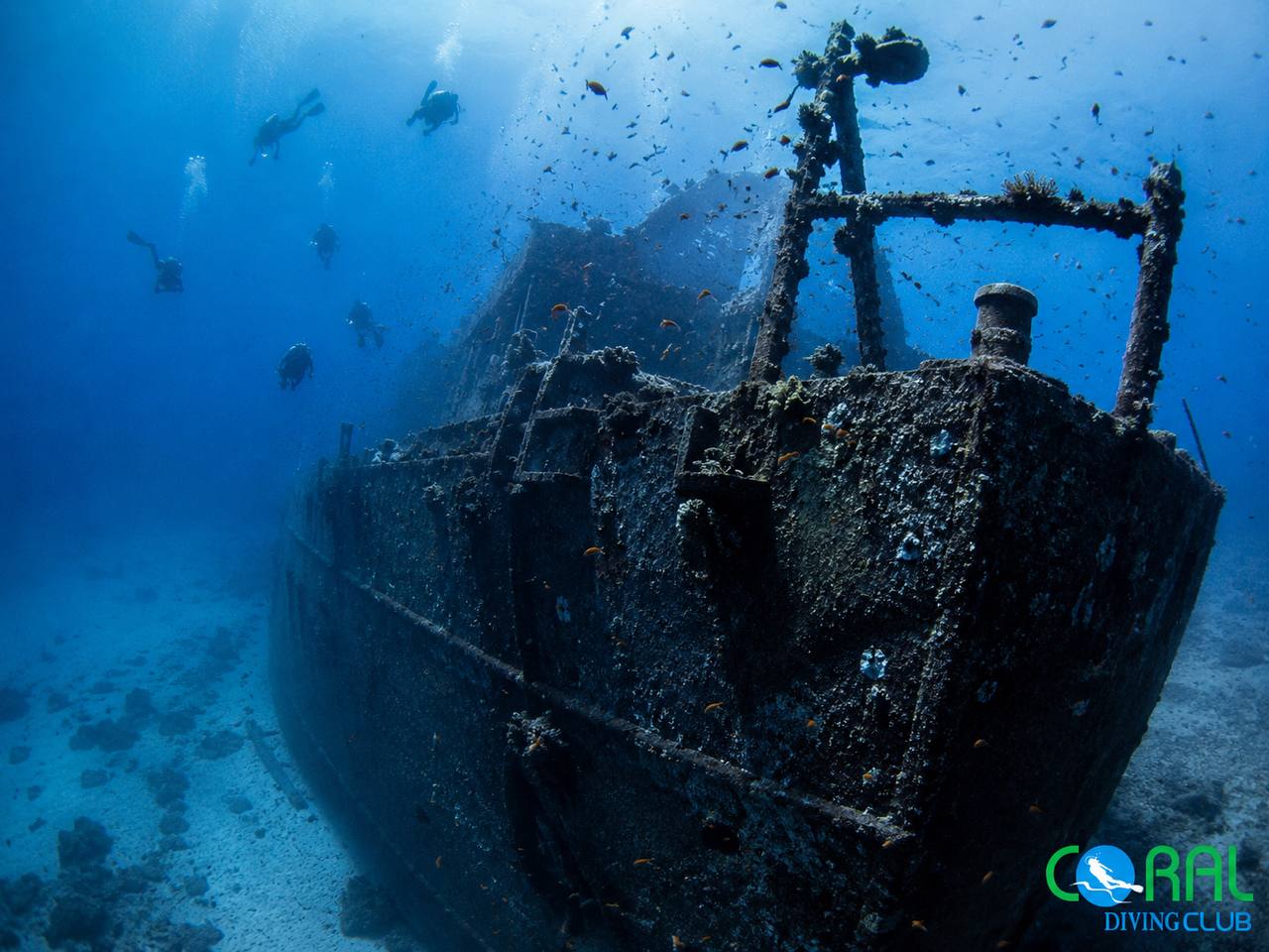 SS Thistlegorm Wreck Diving Trip from Sharm El Sheikh