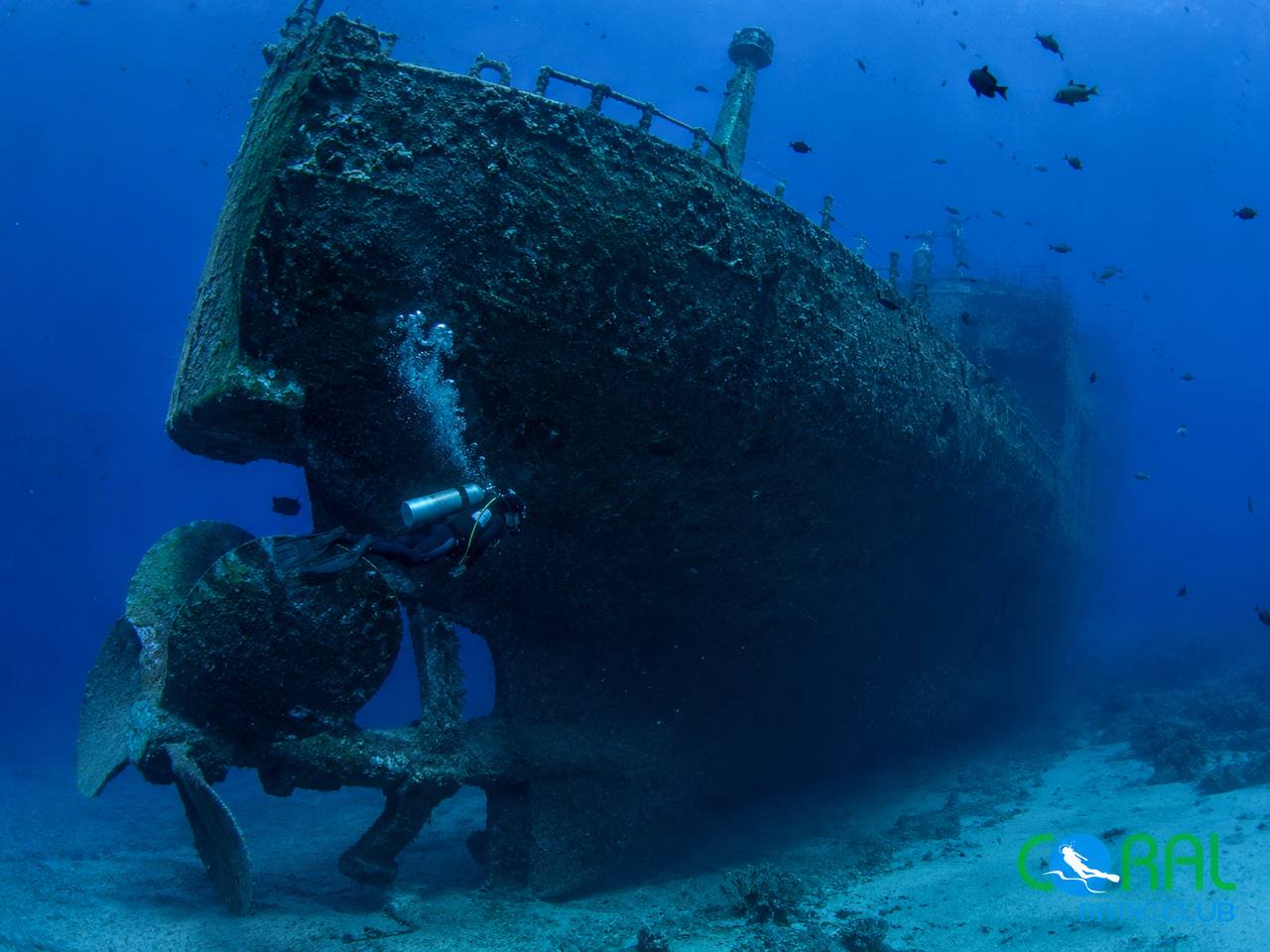 SS Thistlegorm Wreck Diving Trip from Sharm El Sheikh