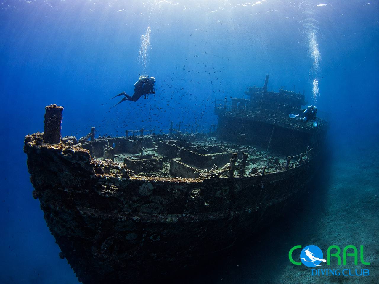 SS Thistlegorm Wreck Diving Trip from Sharm El Sheikh