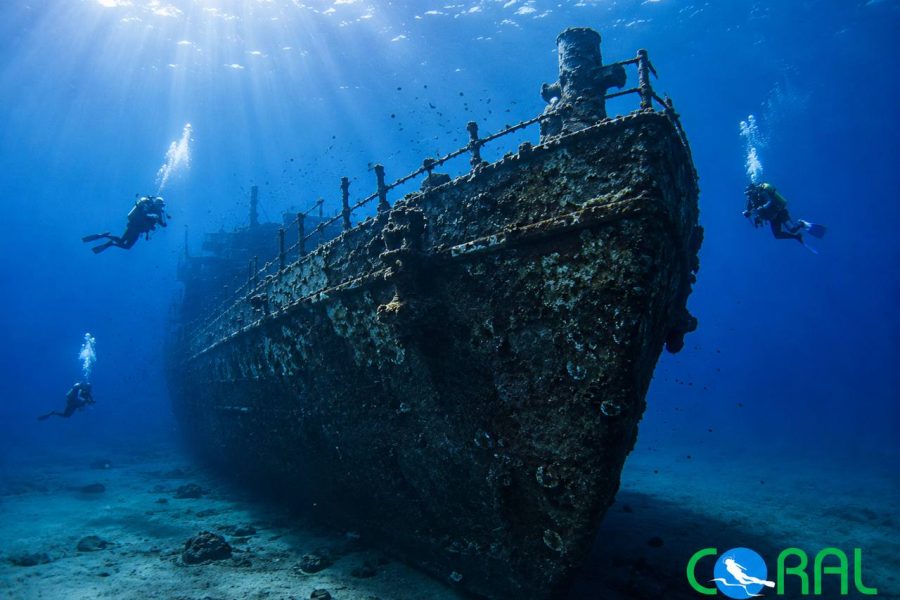 SS Thistlegorm Wreck Diving Trip from Sharm El Sheikh