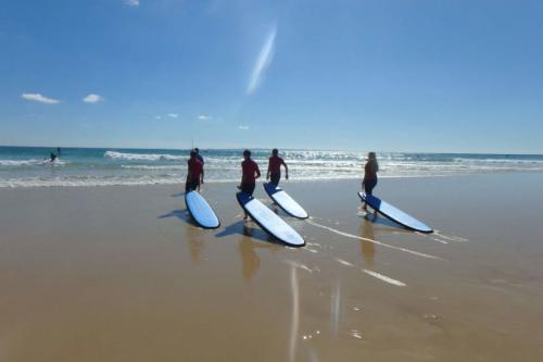 tablas-paddle-surf-aguas-noosa
